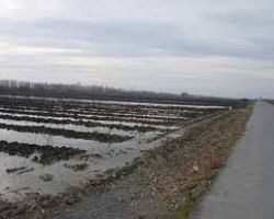 Προθεσμίες και διαδικασία χορήγησης στεγαστικής συνδρομής για τους πληγέντες των πλημμυρών της 25ης Φεβρουαρίου και 4ης Μαρτίου