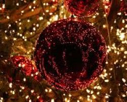 Μαγικά Χριστούγεννα στο Δήμο Πέλλας!