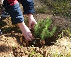 Δενδροφύτευση το Σάββατο 21/3 στο Φιλίππειο