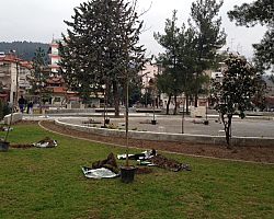 Φυτεύσεις δέντρων στην Πλατεία Γρανικού και την 18ης Οκτωβρίου