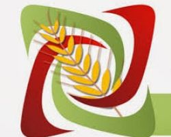 ΑΝΑΣΑ Πέλλας: Κάλεσμα για ανοιχτή γενική συνέλευση