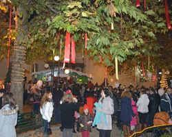 Πρόσκληση εορτασμού Πρωτοχρονιάς 2015 από το δήμο Πέλλας