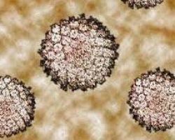 Κονδυλώματα: Ο ιός HPV αφορά και τους άντρες