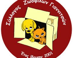 Άλλο ένα αδέσποτο σκυλάκι πάει σχολείο στην Παραλίμνη