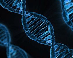 DNA αντί σκληρού δίσκου για αποθήκευση δεδομένων
