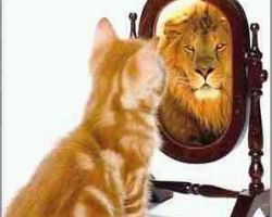 Ημερίδα στο Ξενιτίδειο με θέμα:”Αναπτύξτε αληθινή αυτοεκτίμηση σε κρίσιμους καιρούς”