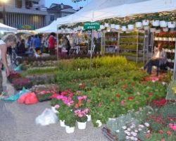 Άκρως επιτυχημένη η 1η Ανθοκομική έκθεση της Αριδαίας