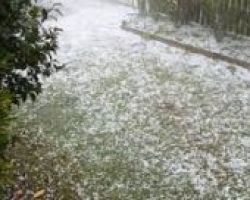 Μέχρι τη Δευτέρα 20  ΙΟΥΝΙΟΥ δηλώσεις ζημιάς για τις καλλιέργειες που ζημιώθηκαν από το ΧΑΛΑΖΙ και τη ΒΡΟΧΟΠΤΩΣΗ της  05-06-2016