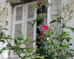 Σχέδιο για νέα μέτρα στήριξης: Η πρόταση για παροχή δωρεάν στέγης σε νεαρά ζευγάρια