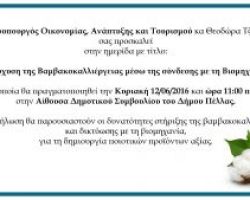 Διοργάνωση εκδήλωσης στα Γιαννιτσά για την ενίσχυση της  βαμβακοκαλλιέργειας