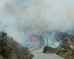 Φωτιά στον Κάτω Φελλό Aνδρου – Πλησιάζει σε σπίτια