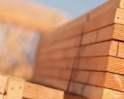 Δ.Τ. Ειδικό Μητρώο Επεξεργασίας Εμπορίας Ξύλου ΠΑΡΑΤΑΣΗ