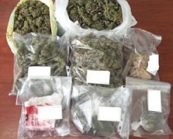 Συνελήφθη 51χρονος στην Ημαθία για κατοχή σημαντικής ποσότητας κάνναβης