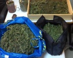 Συνελήφθη 62χρονος στην Πέλλα για κατοχή κάνναβης