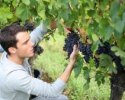 Μπαίνουν σε εφαρμογή οι δράσεις κατάρτισης για νέους γεωργούς