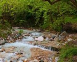 Δήμος Αλμωπίας: Εθελοντική Δράση για το Περιβάλλον