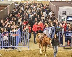 Ρεκόρ εκθετών, ρεκόρ επισκεπτών  Η καλύτερη Zootechnia όλων των εποχών