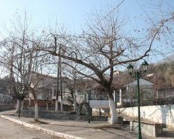 Συντήρηση κοινόχρηστων χώρων Δ.Ε. Αριδαίας
