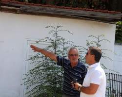 Εργασίες Συντήρησης στα Αποδυτήρια του Γηπέδου της Κωνσταντίας