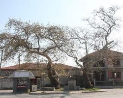 Συνεδρίασε το Τοπικό Συμβούλιο Γαρεφείου με την παρουσία του Δημάρχου Αλμωπίας και του Αντιδημάρχου Τεχνικής Υπηρεσίας και Έργων και Προέδρου της Δ.Ε.Υ.Α