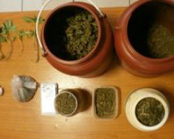 Συνελήφθη 63χρονος στην Πιερία για καλλιέργεια και  διακίνηση κάνναβης