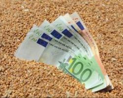 Σήμερα και αύριο η καταβολή των αγροτικών αποζημιώσεων από τον ΕΛΓΑ