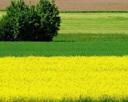 Εκδήλωση στην Έδεσσα  για τα οφέλη και τις ευκαιρίες της γεωργίας