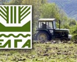 ΕΛΓΑ: Υποβολή αρχικών αιτήσεων χορήγησης ενίσχυσεως
