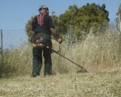 Πυροσβεστική διάταξη για καθαρισμό οικοπέδων και λοιπών ακάλυπτων χώρων εντός πόλεων, κωμοπόλεων και οικισμών