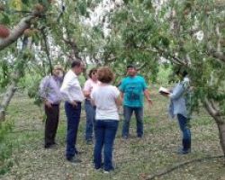 Κλιμάκιο του ΕΛΓΑ στις πληγείσες περιοχές του Δήμου Πέλλας