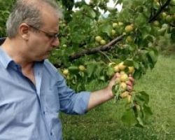 Ο Γιάννης Σηφάκης στις χαλαζόπληκτες περιοχές της Πέλλας