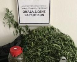 Συνελήφθη 37χρονος σε περιοχή της Ημαθίας για καλλιέργεια και διακίνηση κάνναβης