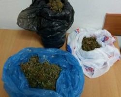 Συνελήφθη από αστυνομικούς του Τμήματος Ασφάλειας Κιλκίς ένας 60χρονος για καλλιέργεια κάνναβης