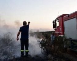 Φωτιά στην Τανάγρα: Καίει ελιές σε αγροτοδασική έκταση -Ισχυρές δυνάμεις της Πυροσβεστικής στο σημείο