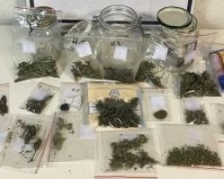 Συνελήφθη 37χρονος σε περιοχή της Ημαθίας για καλλιέργεια και διακίνηση κάνναβης