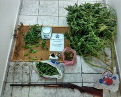 Συνελήφθη 36χρονος στην Χαλκιδική για διακίνηση και καλλιέργεια κάνναβης
