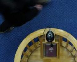 Θεσσαλονίκη: Αρνήθηκαν τις κατηγορίες οι οκτώ που δικάζονται για τον θάνατο του Βούλγαρου οπαδού