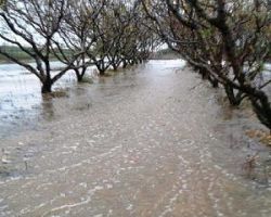 Δηλώσεις ζημιών από την πλημμύρα στο δήμο Βέροιας