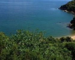 WWF: Η Ελλάδα επεκτείνει το «δίχτυ προστασίας» της ελληνικής και της μεσογειακής φύσης