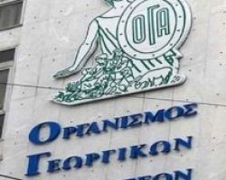 Παύση ανταποκριτών ΟΓΑ Δήμου Έδεσσας