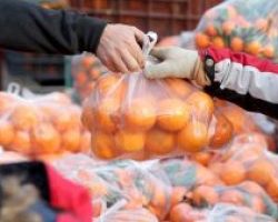 Υπάρχουν και πλαστικές σακούλες που… δεν χρεώνονται