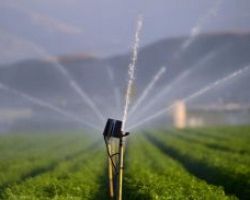 “Μείωση της ρύπανσης νερού από γεωργική δραστηριότητα” – Ξεκινά η υποβολή προτάσεων