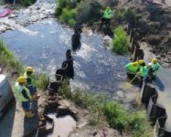 Παγκόσμια Μέρα Άγριας Ζωής. Ο ΤΑΡ προστατεύει την ελληνική άγρια φύση στη γη, το νερό και τον αέρα