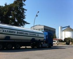 Σταδιακά εξοφλούνται οι τευτλοπαραγωγοί – Σε αδιέξοδο η ΕΒΖ