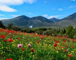 Πιο ζεστός ο φετινός Μάρτιος στην Ελλάδα από τον μέσο όρο