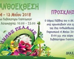 Ακόμη μια χρονιά διοργανώνεται η Ανθοέκθεση των Γιαννιτσών