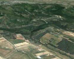 Αίτημα από τον Γ. Σηφάκη για παράταση των αιτήσεων για τις εκχερσωμένες δασικές εκτάσεις
