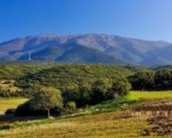 «Το Πάικο στο πιάτο της Πέλλας» κεντρικό θέμα στην «7η Πέλλα της γεύσης»