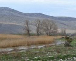 Νεκρώνει η Βεγορίτιδα;;; Η αρχή του τέλους;