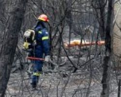 Φωτιά στον Έβρο: Εντοπίστηκαν 18 απανθρακωμένοι μετανάστες στο δάσος της Δαδιάς